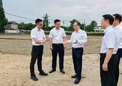 胡云赴眉山调研耕地；だ煤透叱叨扰┨锝ㄉ韫ぷ